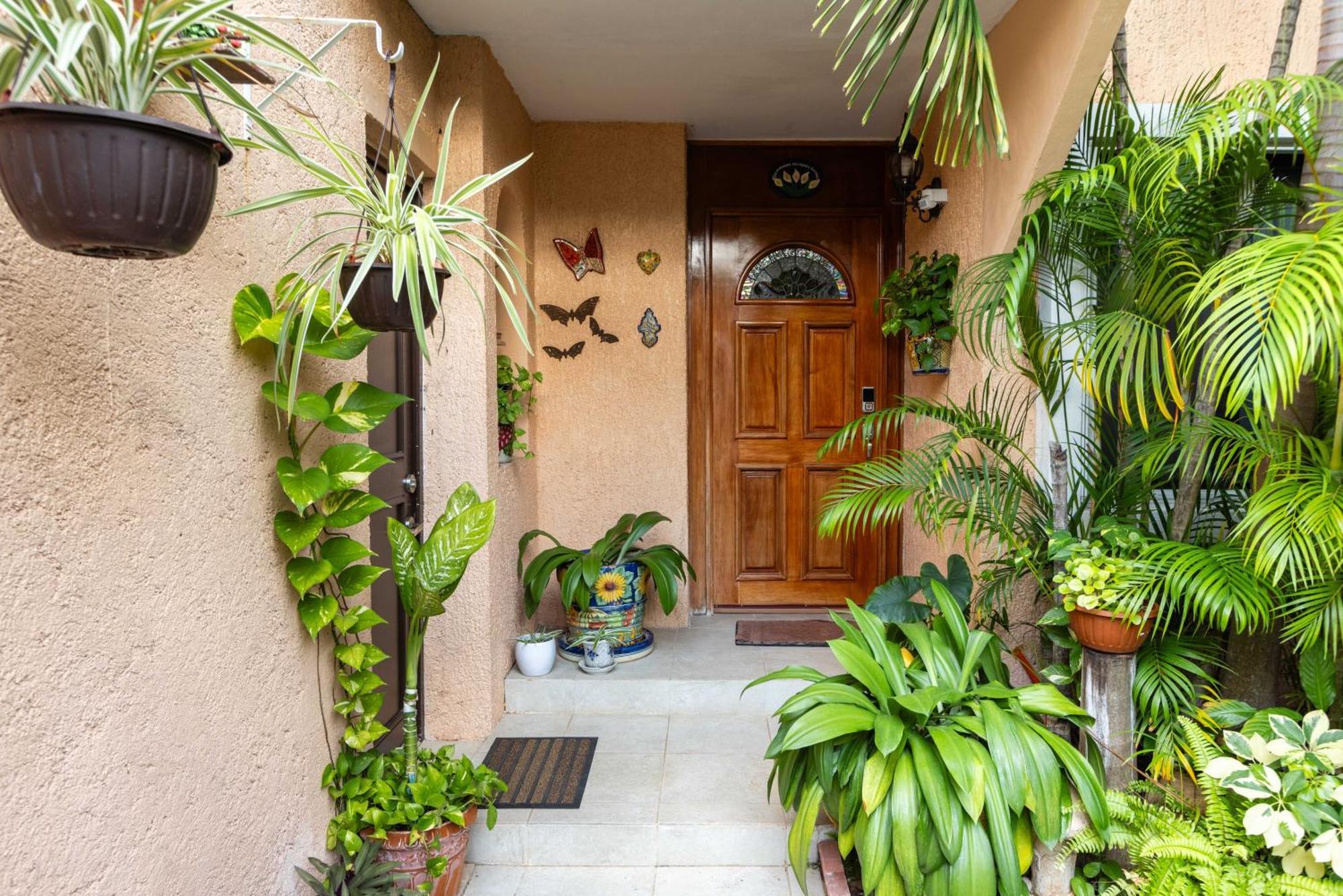 Magnifica Villa Palmeras Pok Ta Pok Zona Hotelera Cancun Dış mekan fotoğraf